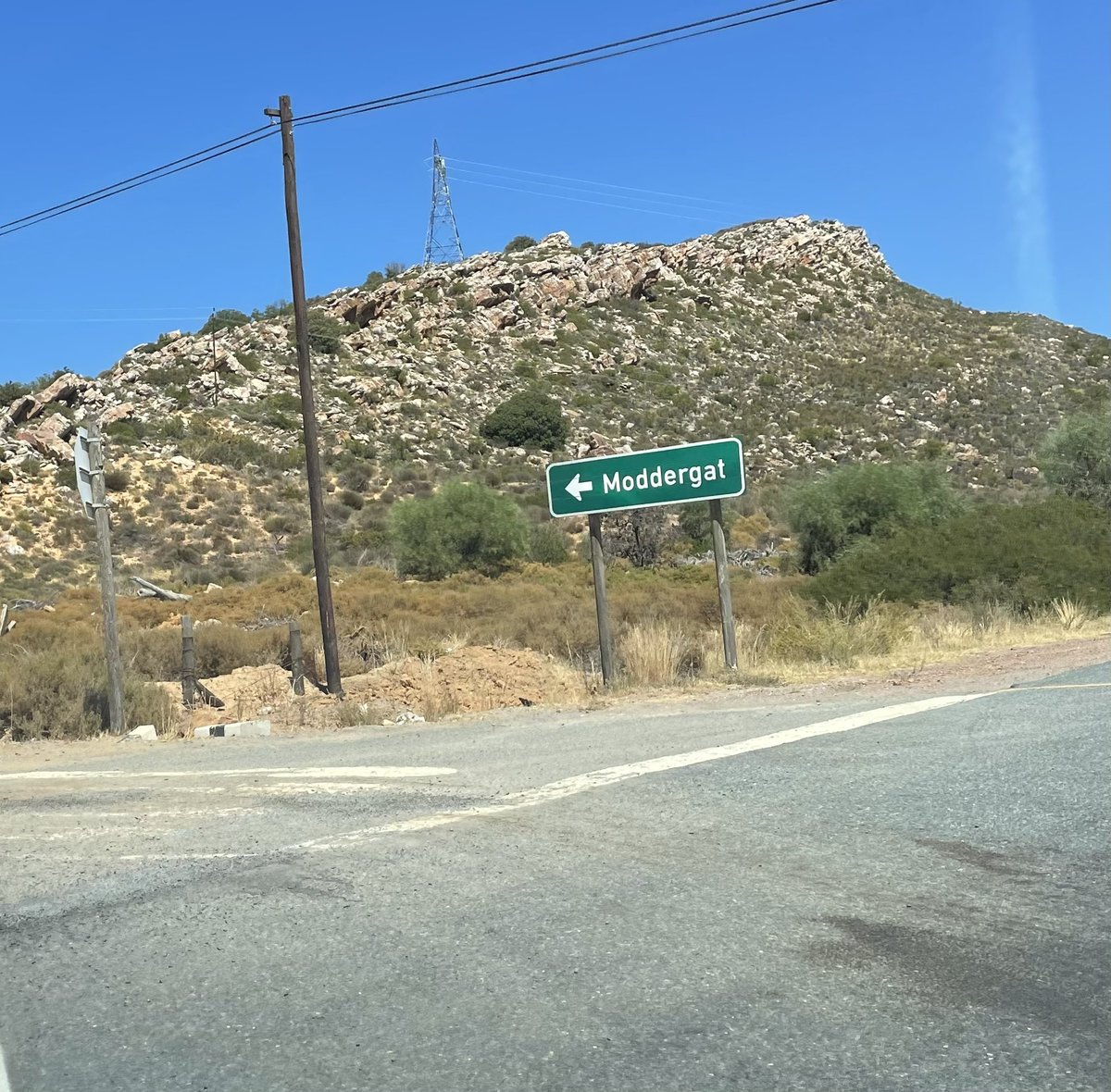 Sanne ten Wolde tweet media