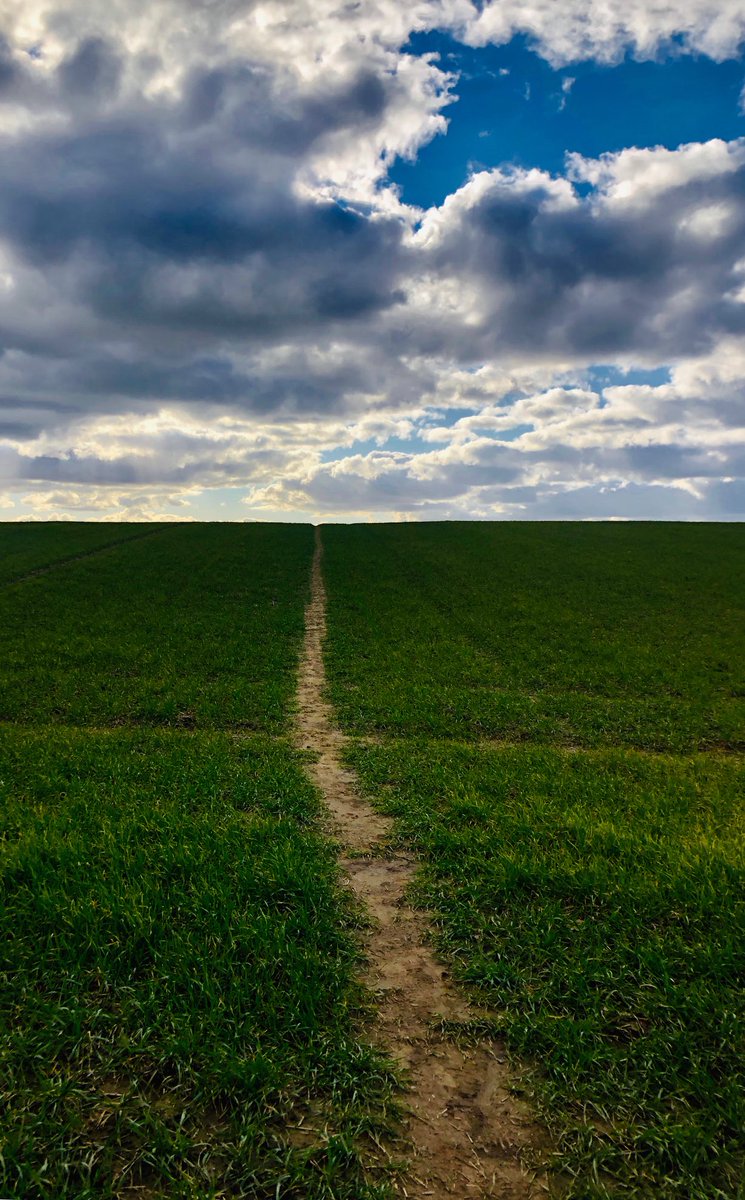 LynneVoyce's tweet photo. The third in my Black Country trilogy of walks is complete. In the footsteps of Charles ii #TheMonarchWay #BlackCountry #walking https://t.co/4eMrDEoBMa