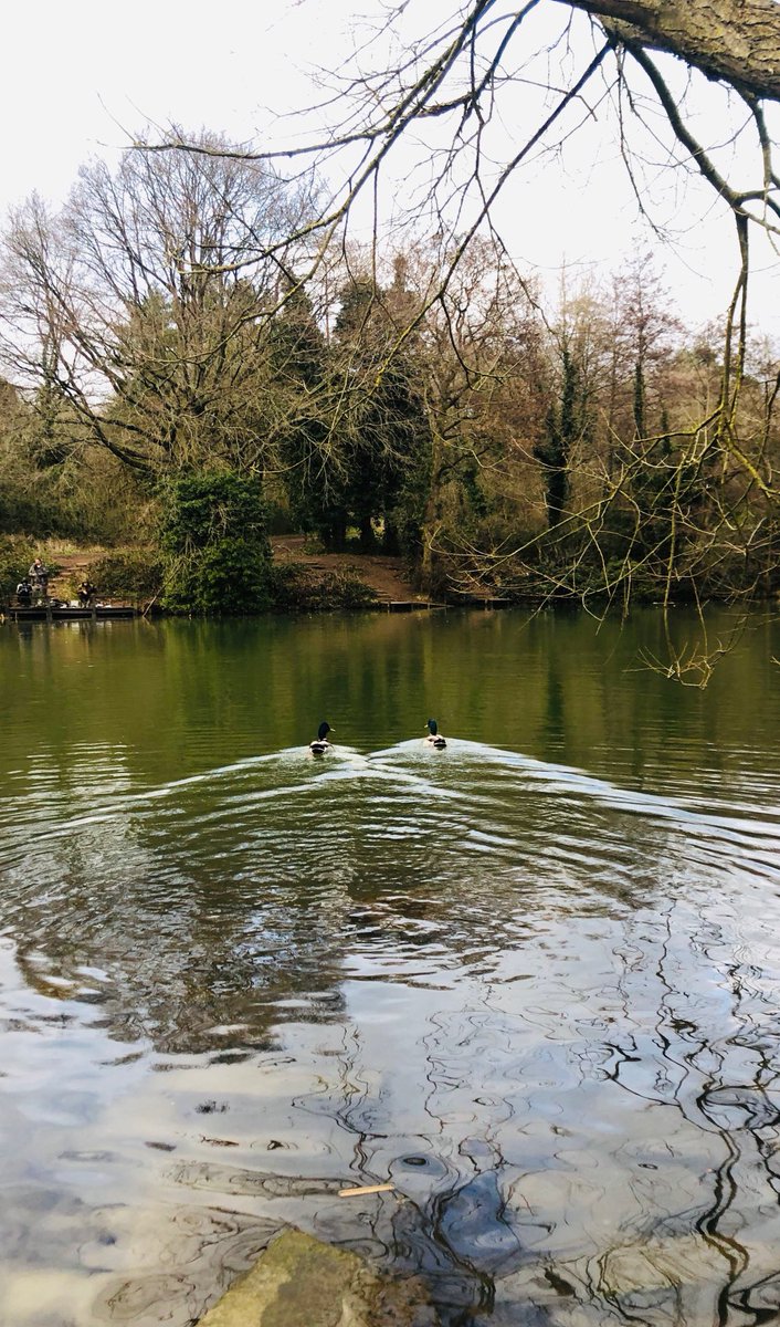LynneVoyce's tweet photo. The third in my Black Country trilogy of walks is complete. In the footsteps of Charles ii #TheMonarchWay #BlackCountry #walking https://t.co/4eMrDEoBMa