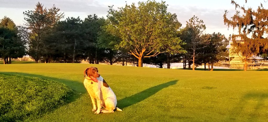 Brickyard Agronomy tweet media