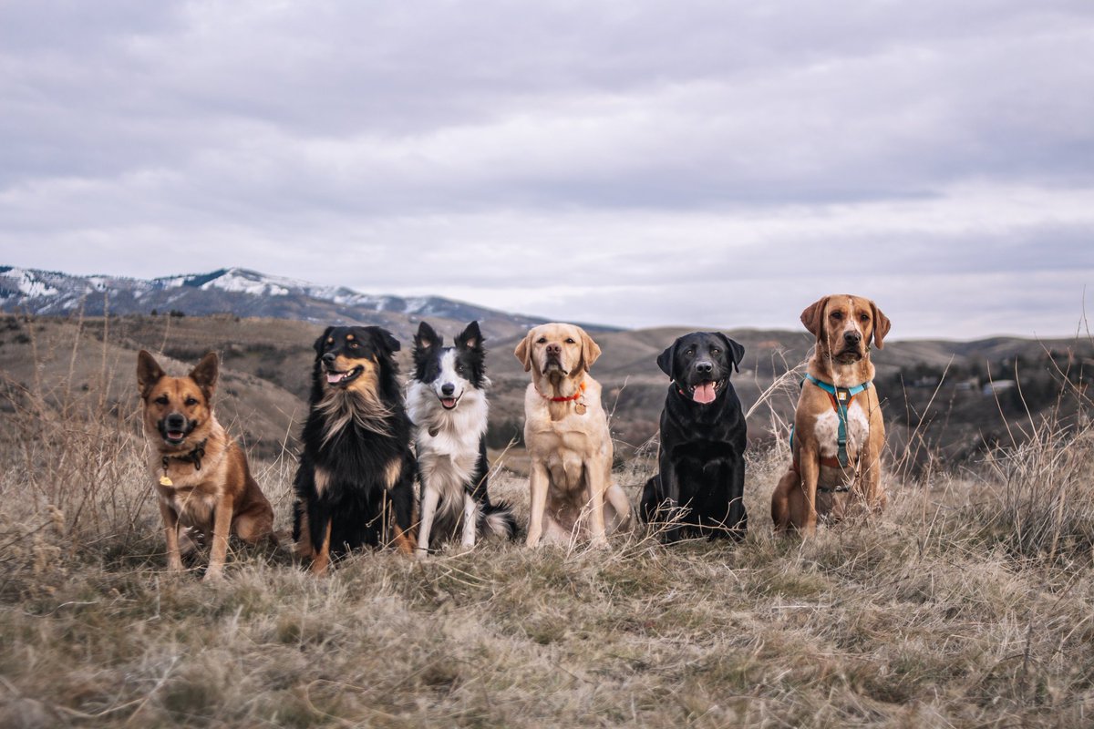 Sir Quilliam Star-Lord 🚀 tweet media