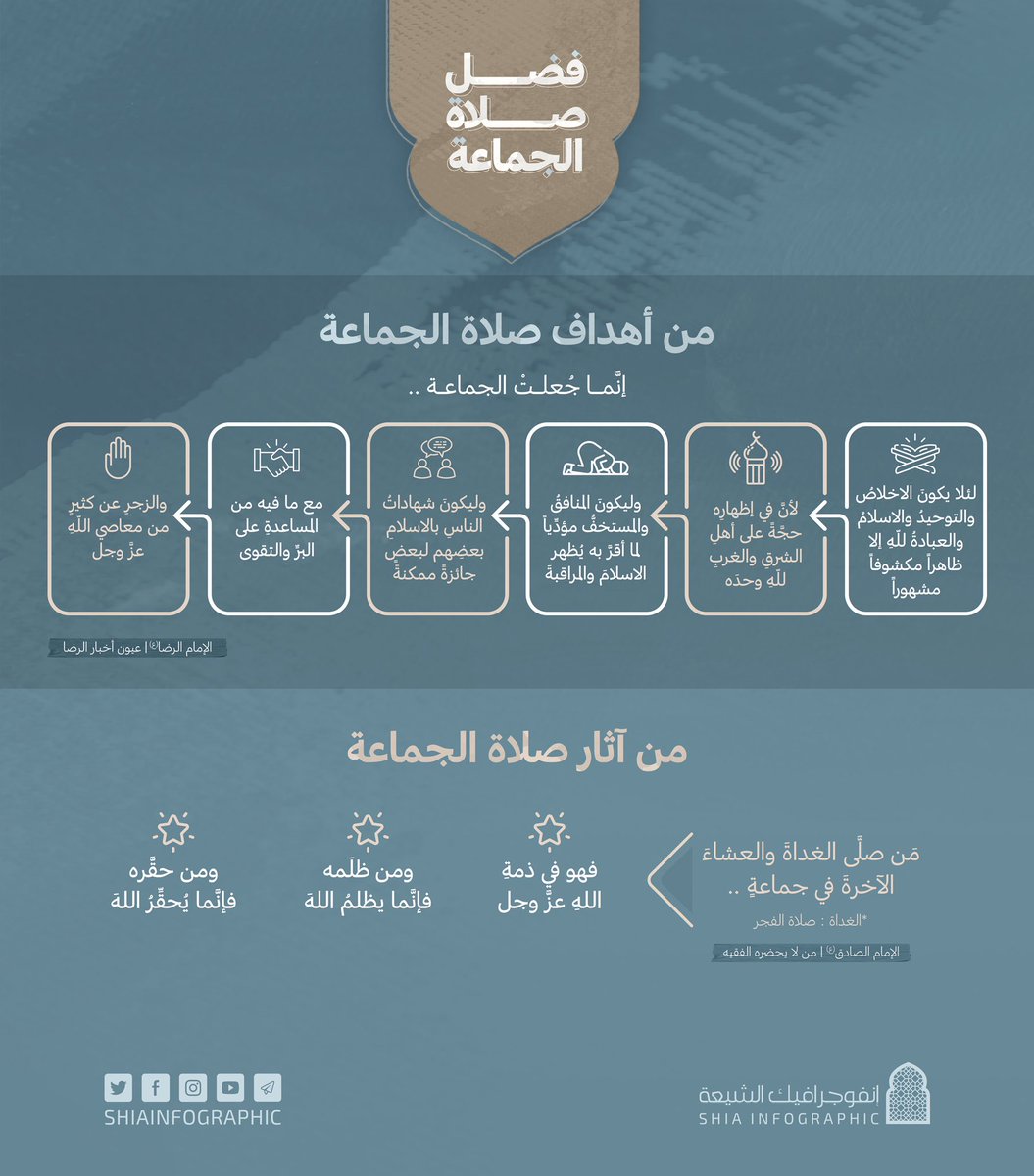 إنفوجرافيك الشيعة tweet media