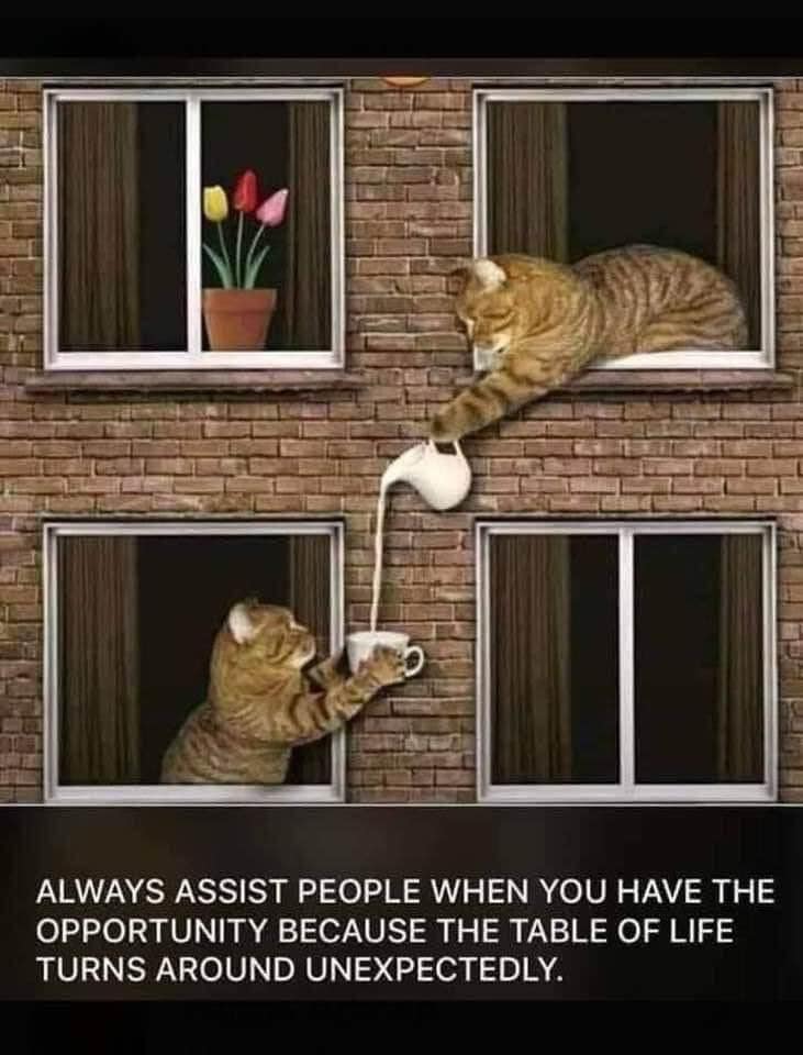 Cerridwensheart's tweet photo. Always assist people when you have the opportunity, because the table of life turns around unexpectedly. https://t.co/s6c5zfCc0y