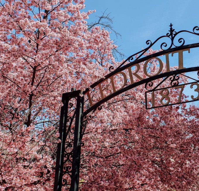 The most beautiful time to visit #DC #DATEDC #dccompanion https://t.co/lqHje3zDTI<a href="/tag/dc"class="tags">#DC</a><a href="/tag/datedc"class="tags">#DATEDC</a><a href="/tag/dccompanion"class="tags">#dccompanion</a>