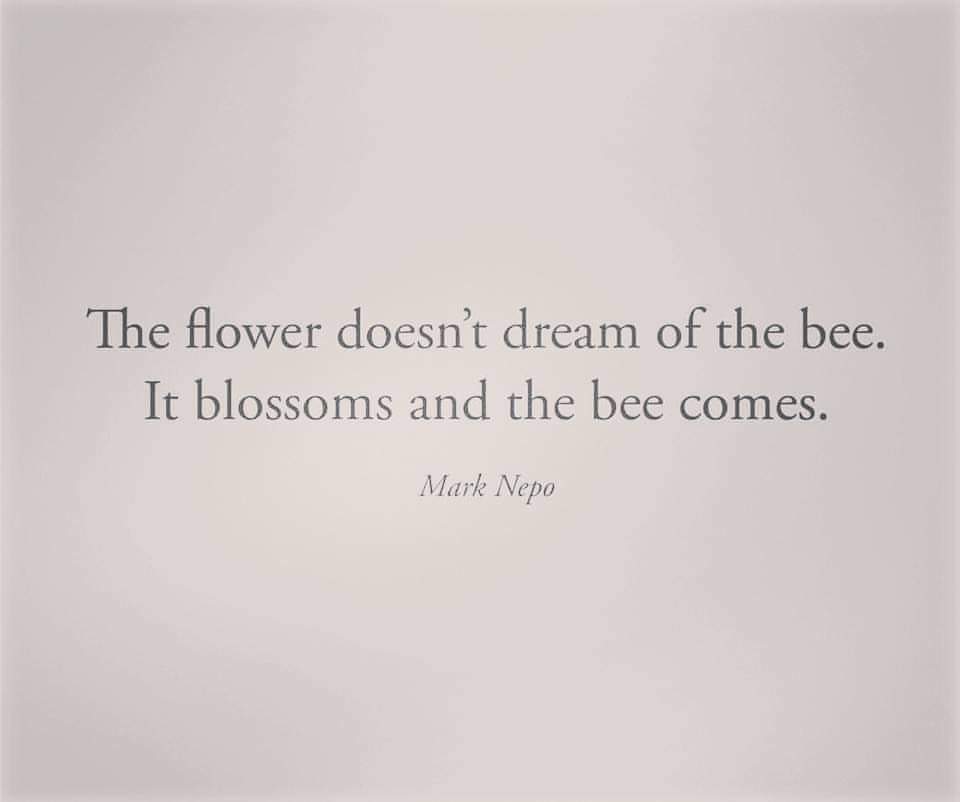 SelfLeader2022's tweet photo. #selfdevelopment #SelfEngineering https://t.co/f2UNMVLvJp