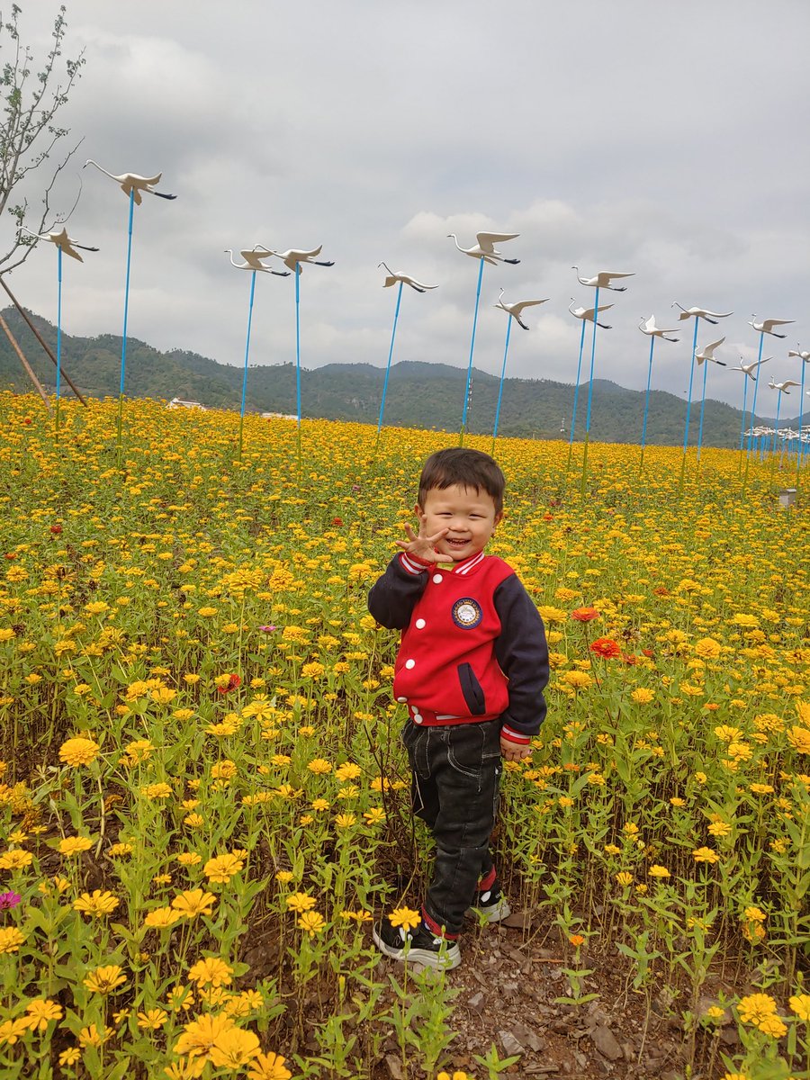 wangleqin's tweet photo. https://t.co/zVbvOaJhVZ