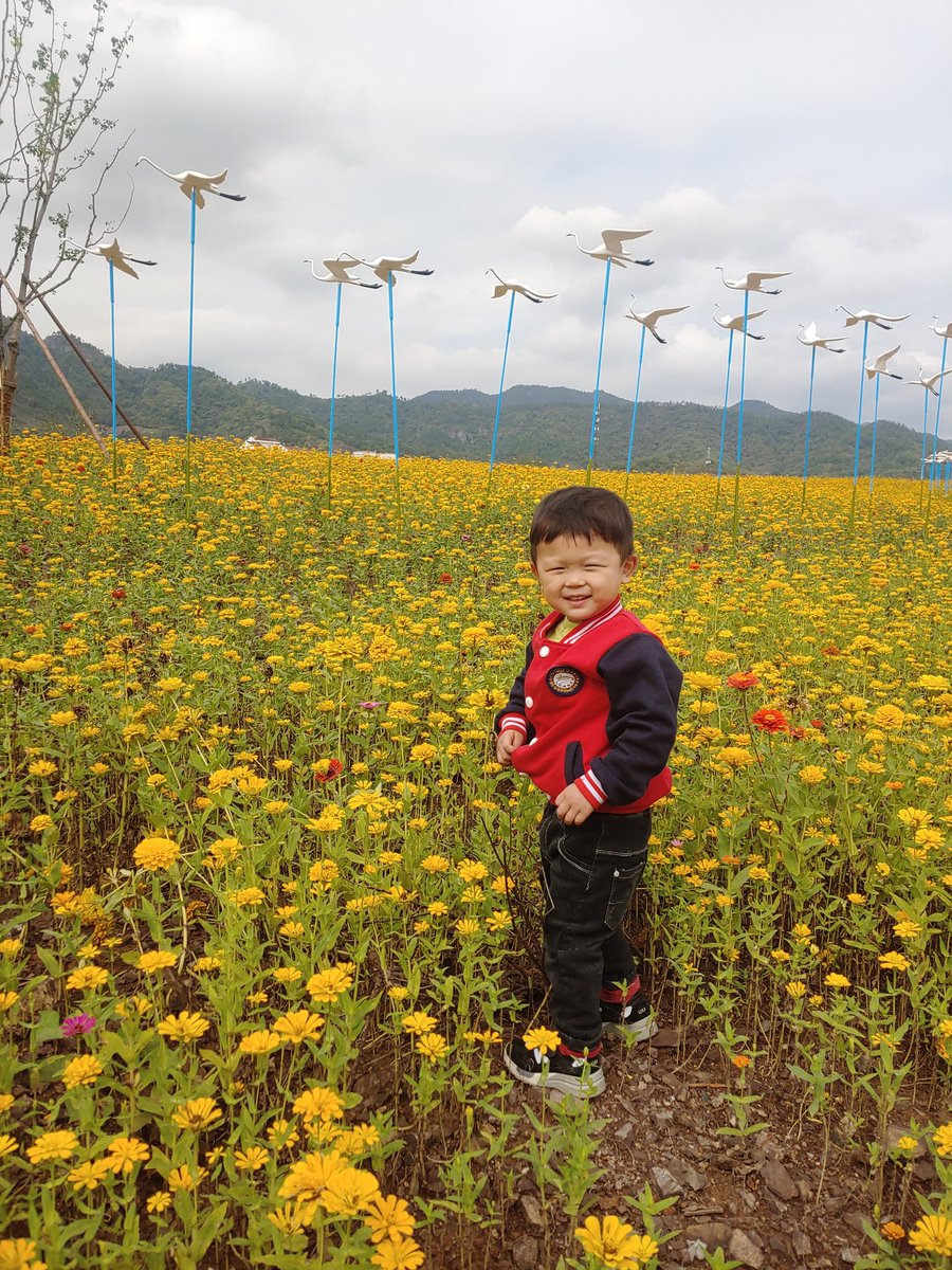 wangleqin's tweet photo. https://t.co/zVbvOaJhVZ