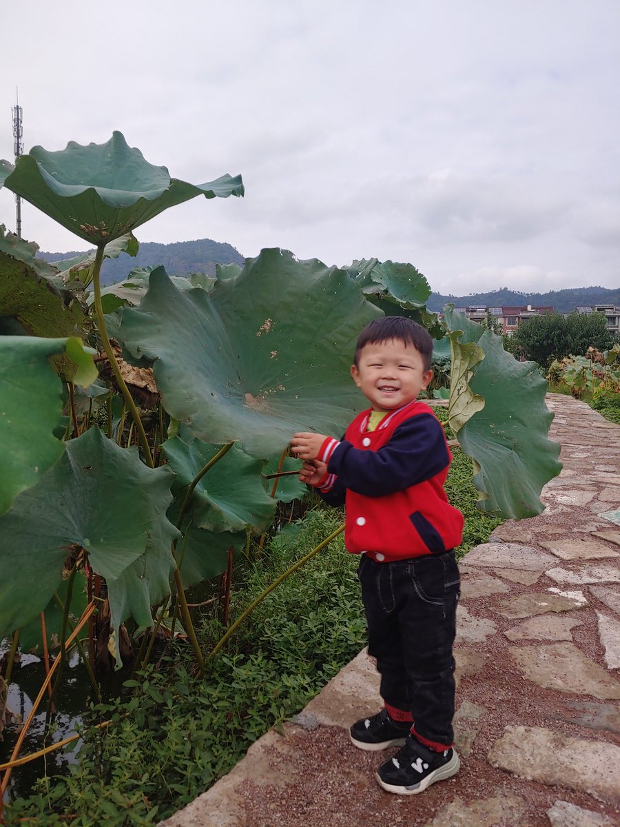 wangleqin's tweet photo. https://t.co/zVbvOaJhVZ