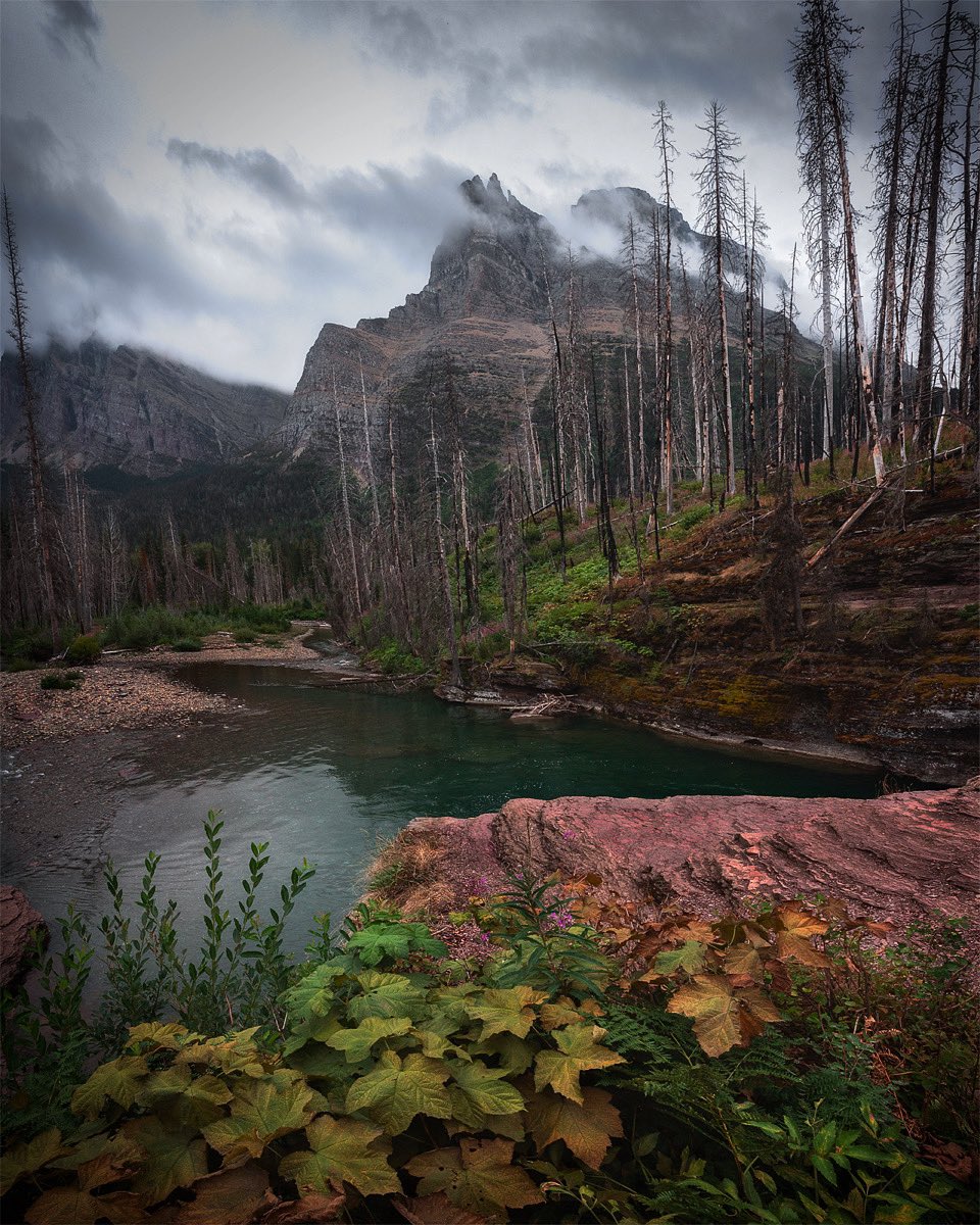 GM happy Saturday! Show me a photo from your favorite park! Re tweeting my favorites! Here’s a shot from my favorite.. Glacier National Park 😍