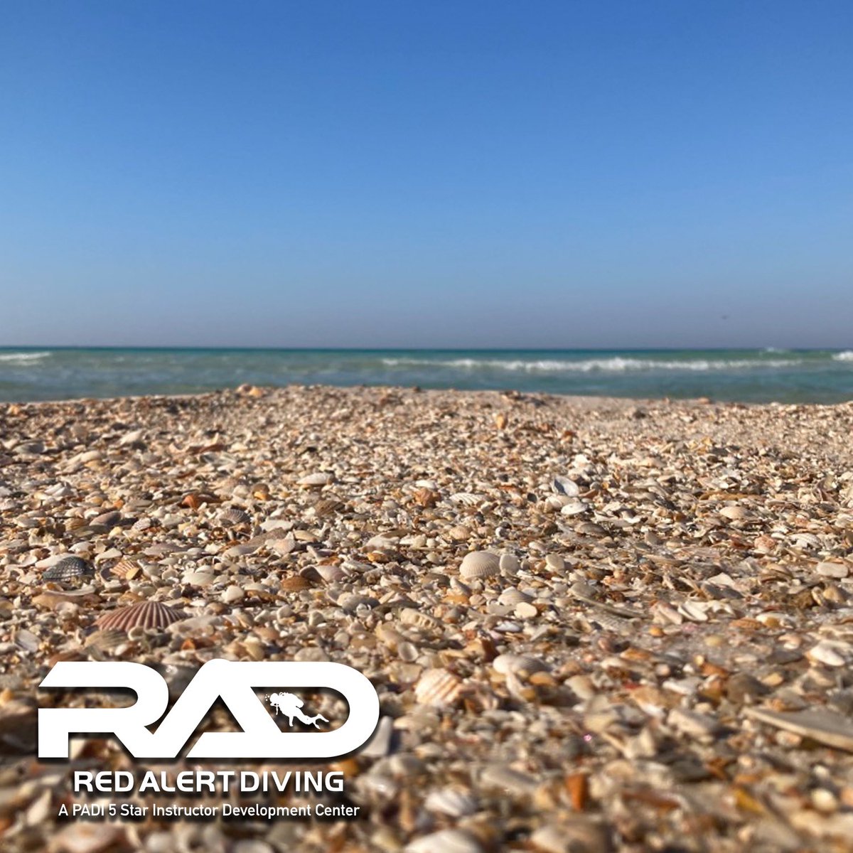 RedAlertDiving's tweet photo. It's hard to believe that it's March, 2022. Sign up now for scuba lessons in Panama City Beach.

When you take your PADI Open Water Class, we will give you 20% off of your Advanced Open Water Program for the rest of March
#florida #learntodive

https://t.co/4L7OFcZMDc https://t.co/Ew5OToCIXZ