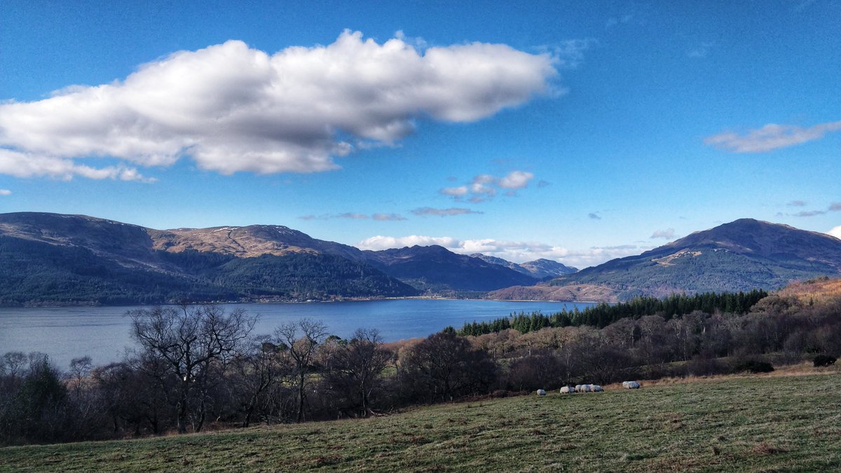 Proudfoot's tweet photo. Two sunny days in a row! 🌞 Enjoyed exploring a new local-ish walk today, along Barbour Road on the #Rosneath peninsula above #LochLong 💚 #365DaysWild #getoutside #signsofspring https://t.co/rs8v3EnhMQ