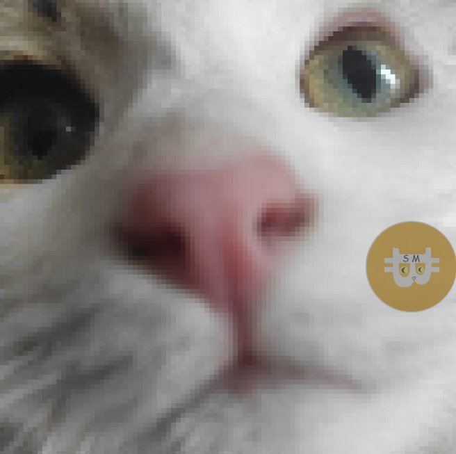 saylorcatmoon's tweet photo. #saylortothemoon #btc https://t.co/3HOqKsxQO0
