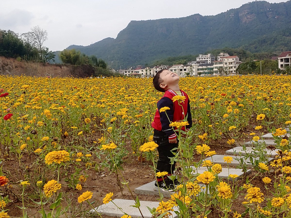 wangleqin's tweet photo. https://t.co/zVbvOaJhVZ