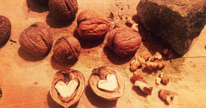 pregled's tweet image. Sterilitet pregled.com