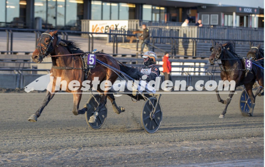 Herlig finaledag på Bjerke 🏆🥇🥉🥉🥉✅ Z Boko🌟 #llv75 #v75