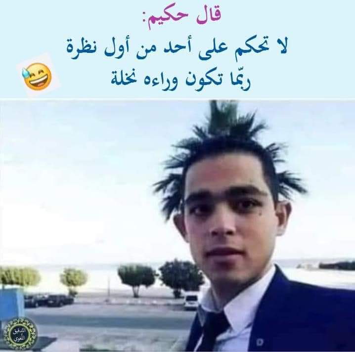 IlmFeed's tweet photo. A wise man once said: "Never judge anyone on first sight. Perhaps there may be a palm tree behind them."

🤣 https://t.co/15QzyDm1NK
