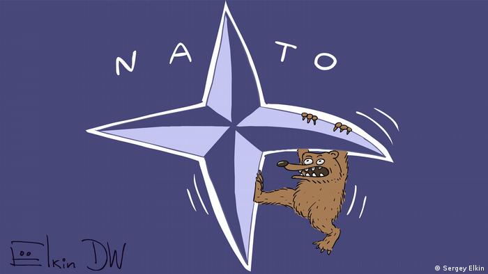 CcarKen's tweet photo. Latest newsletter of our Hamilton Coalition To Stop The War including our widely-circulated statement on Ukraine (translated into French and Spanish) plus upcoming events and interviews. Definitely worth opening!!!
#NoWarWithRussia #NeutralityForUkraine 
https://t.co/PwmUzpZcni https://t.co/FxbR2QTRiH