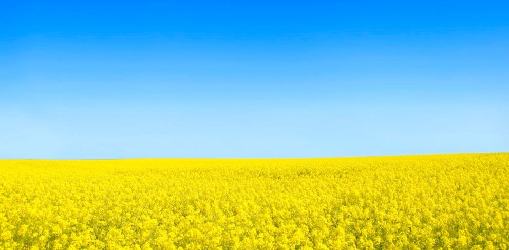 Stefano Montaccini (@stemomt) on Twitter photo 