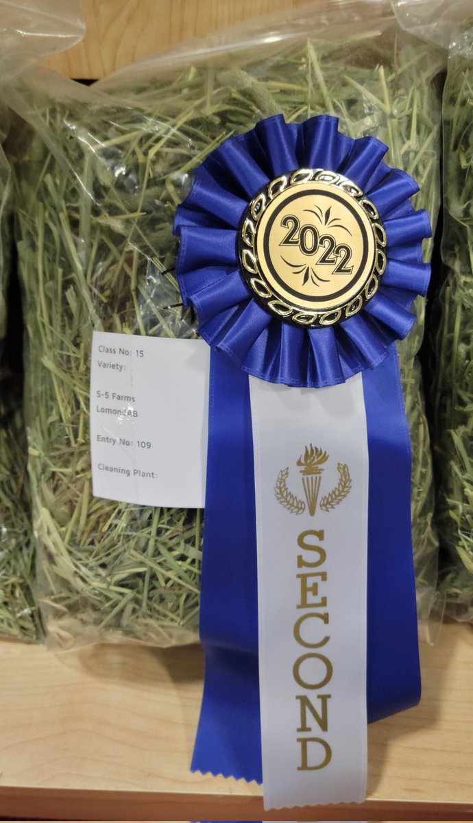 Chad Halyk tweet media