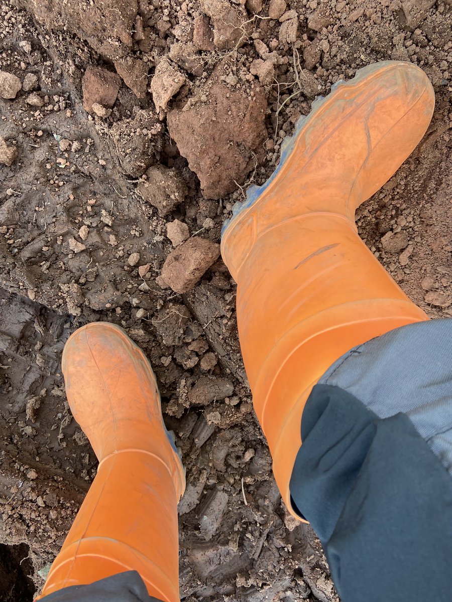 Aaronb00ts's tweet photo. Warmer weather…
Pros:
Easier to work
Sweaty ripe boots
Thermos on full display 
Cons:
No waterproofs needed
Not enough mud and dirt https://t.co/twZ1mTOkkW