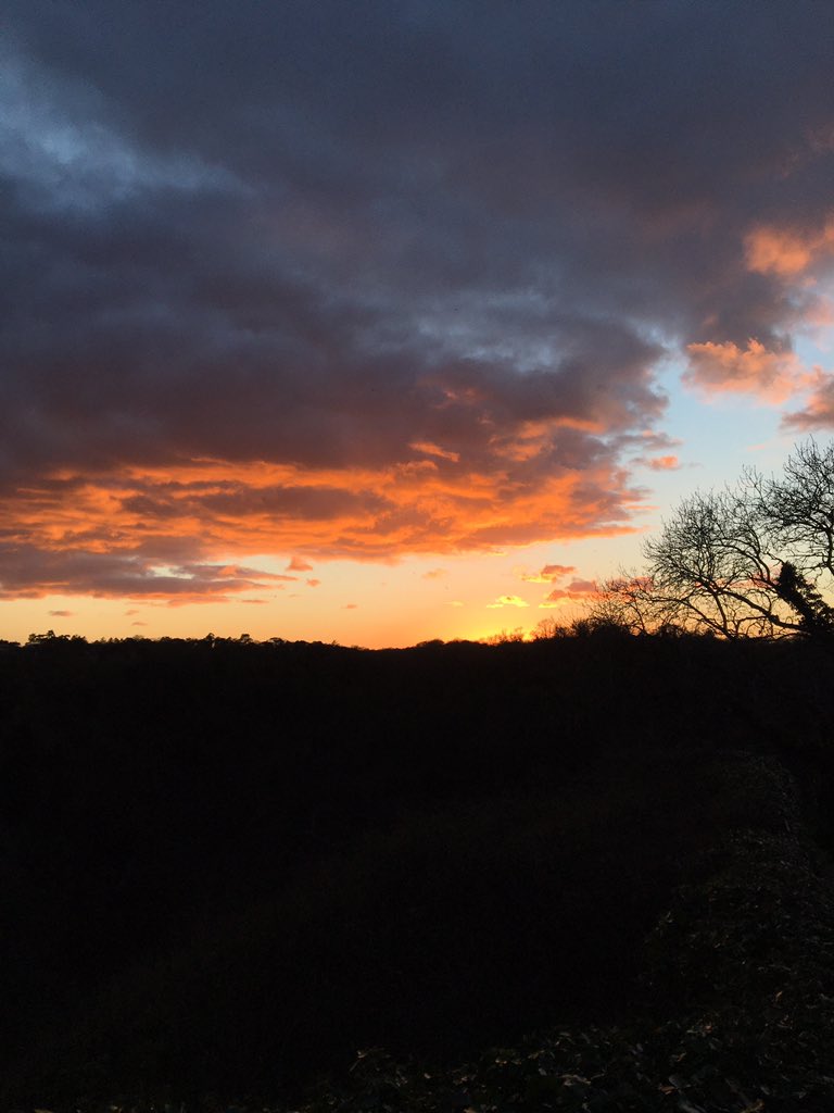 malonejennifer_'s tweet photo. Bristol @ it again https://t.co/drUSjOLPgM
