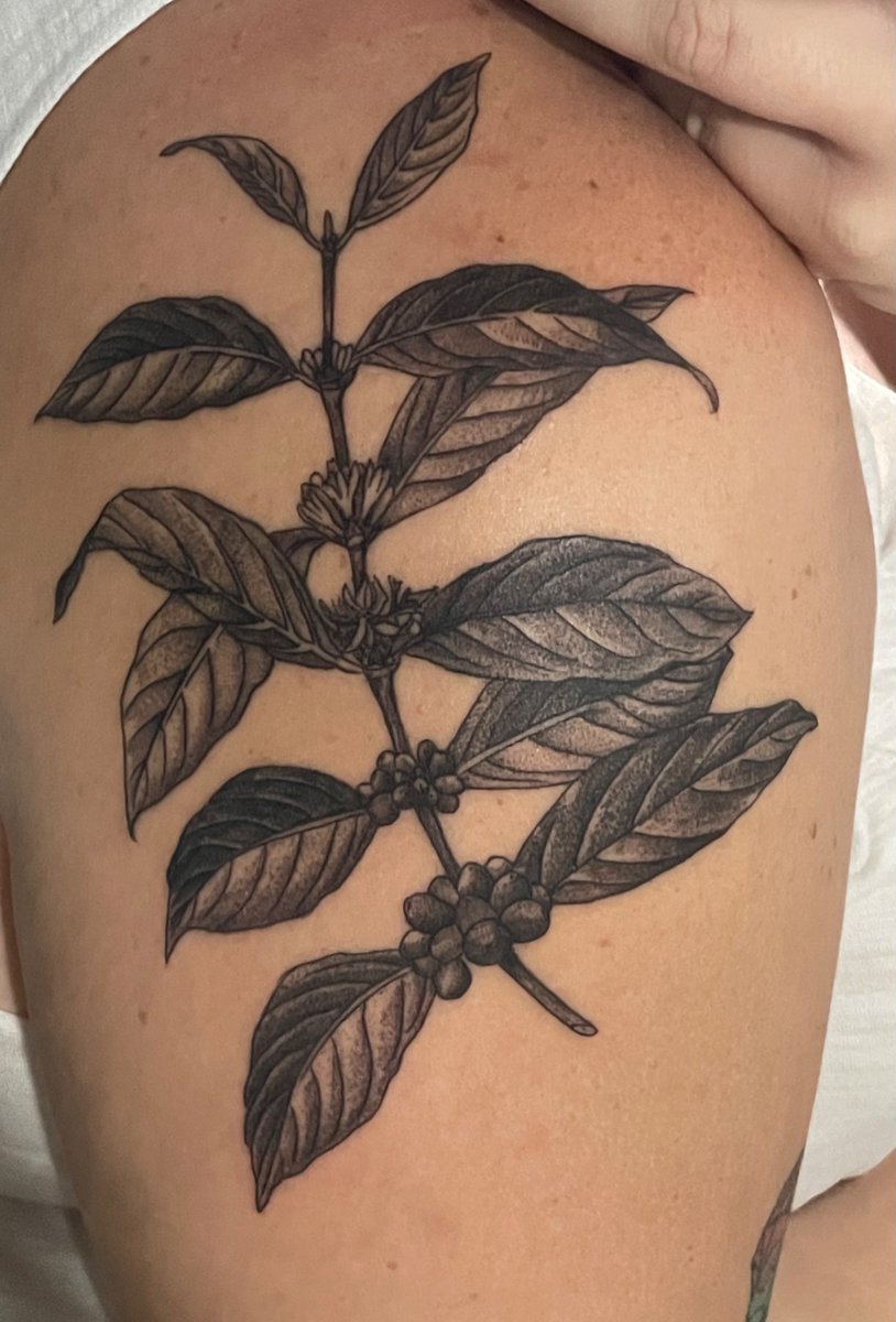 Magen Wu tweet media