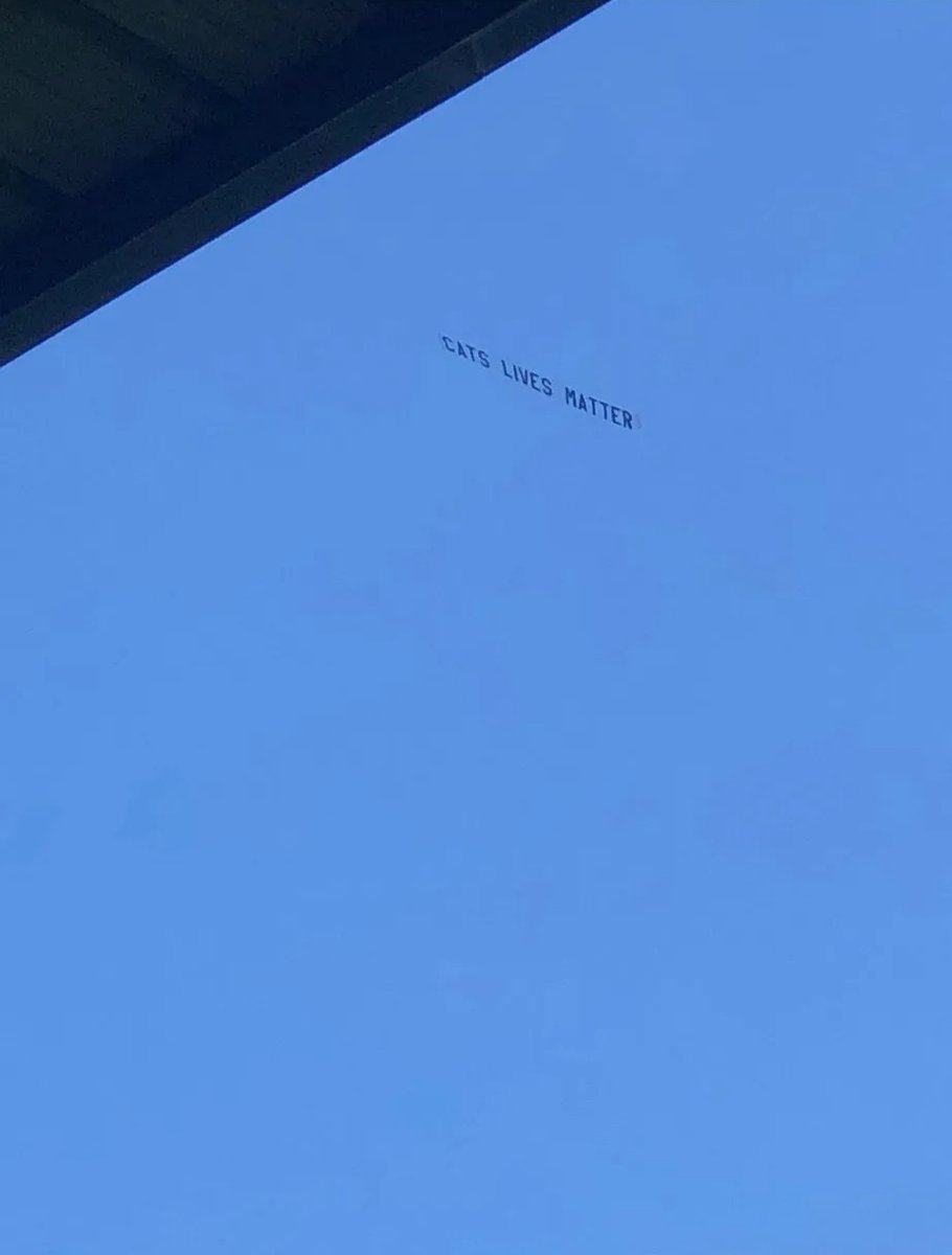 This flew over the West Ham match.
