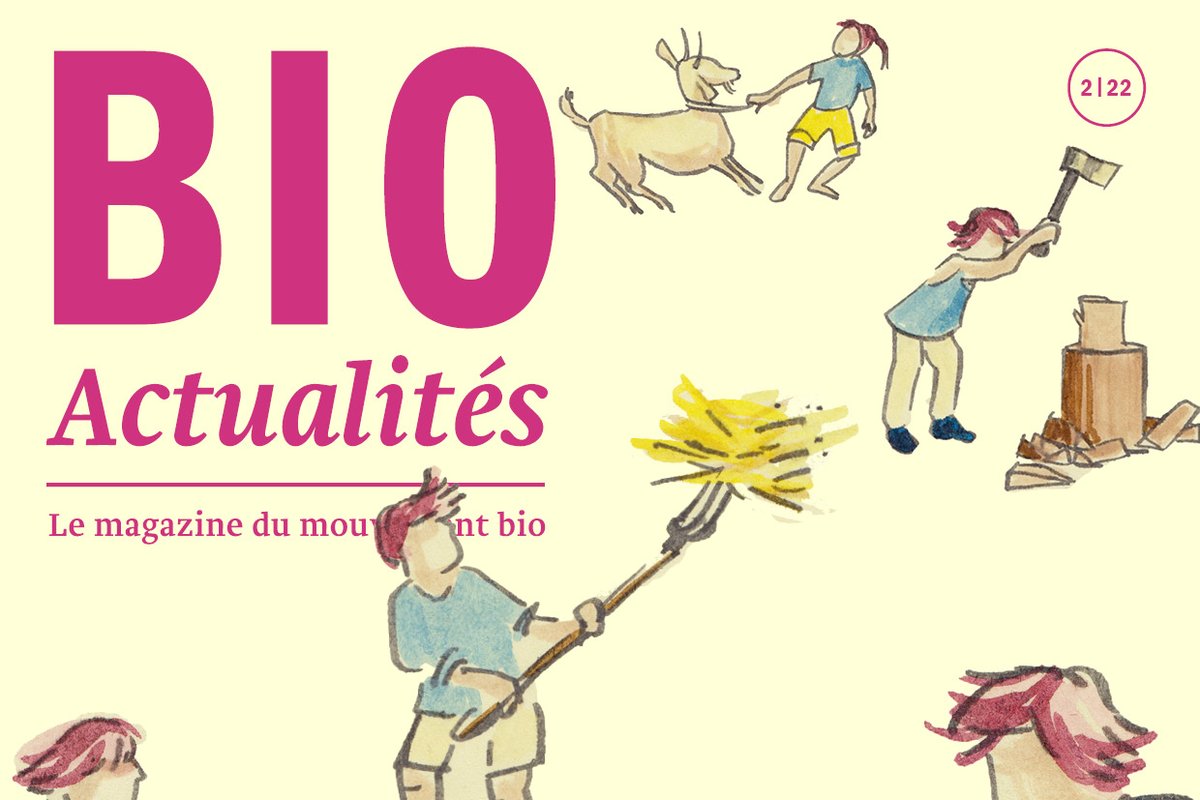 Beaucoup de paysannes travaillent gratuitement: C’est le sujet des articles à la une de ce Bioactualités, qui étudient le rapport souvent déséquilibré entre le travail fourni par la paysanne et son salaire. bioactualites.ch/magazine.html