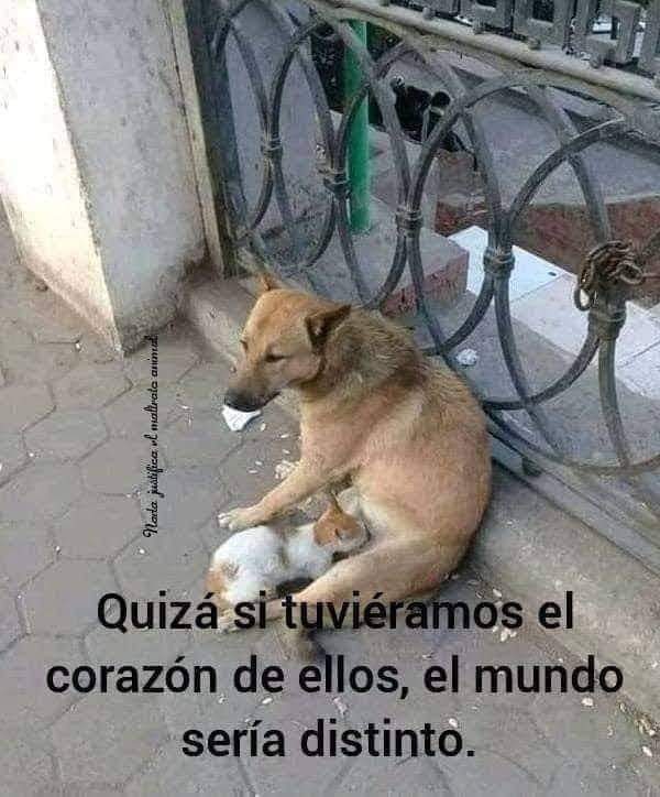 Sabueson's tweet photo. Tardé  en ver bien la imágen y entenderla https://t.co/oBme9K35se