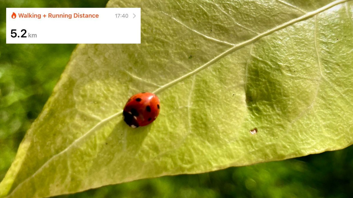journo_jones91's tweet photo. Made a new pal on today's #WalkAgainstHunger! π #bestbudbug #bugfriends
π https://t.co/efbyOoOCMw @CAFOD @CAFODLiverpool @StMStB https://t.co/t48sV0fKTn