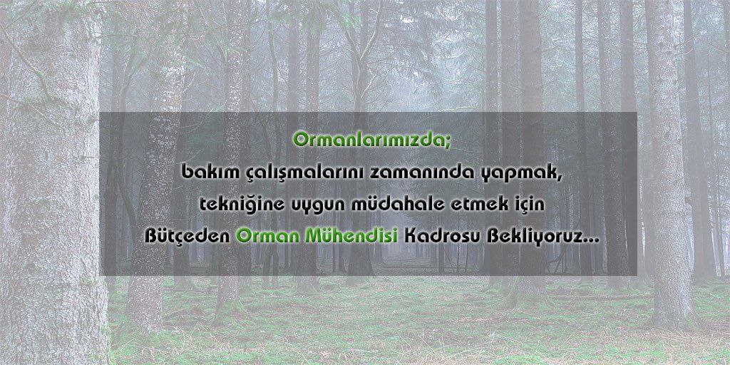 HsanBasar's tweet photo. Geleceğe nefes olmak için orman mühendisi alımı yapılması gerekiyor
@BekirKARACABEY_ 
@HTurkyilmazOMO 
@AvniBasarrr 
@demet53226791 https://t.co/wYDFIYY5ub