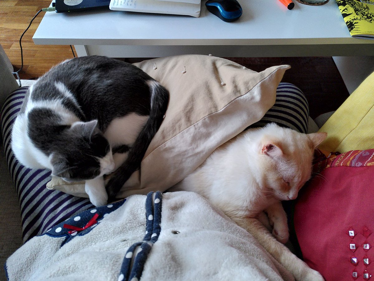 hai poucas cousas mellores