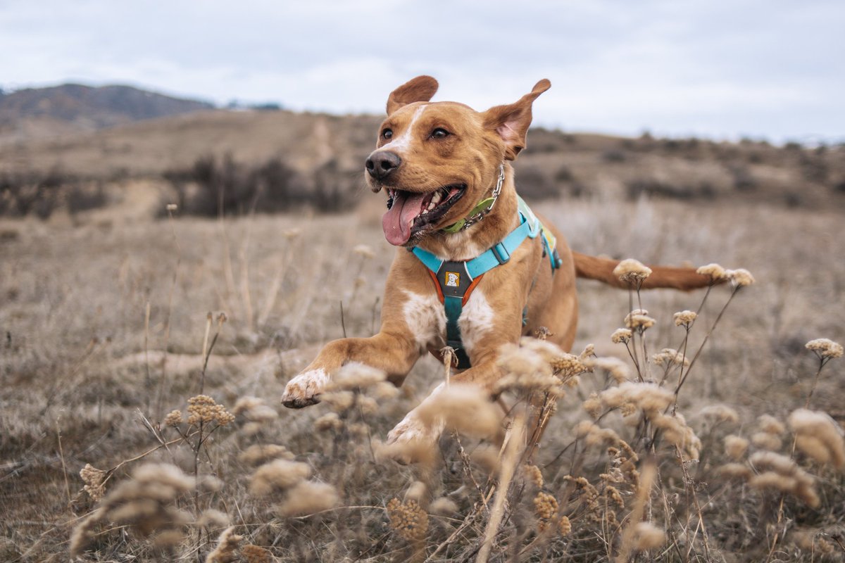 Groot & Riley tweet media