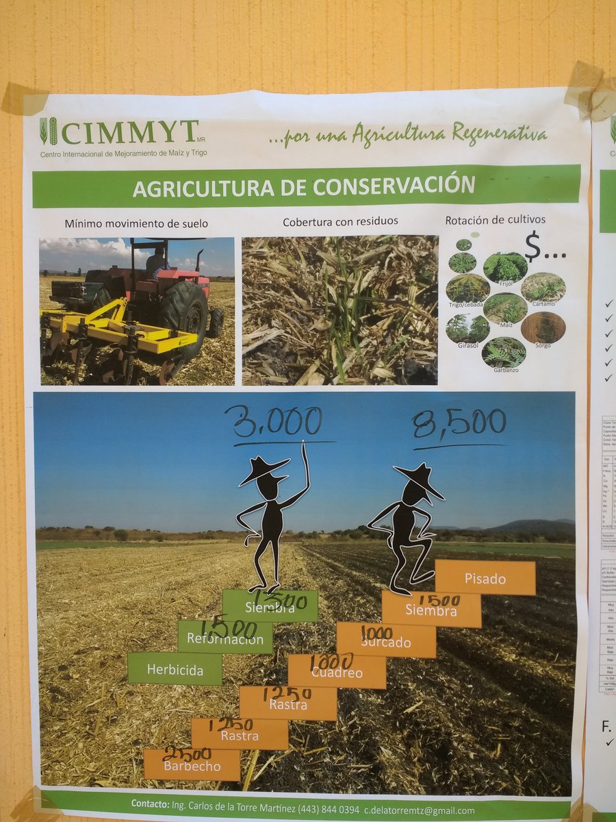 Durante uno de los recorridos de campo realizamos este análisis de costos, considerando las actividades antes del establecimiento del cultivo de trigo. 

Un diferencial de 5,500 entre #Agriculturadeconservación y convencional. 

<a href="/CIMMYT/">CIMMYT</a>