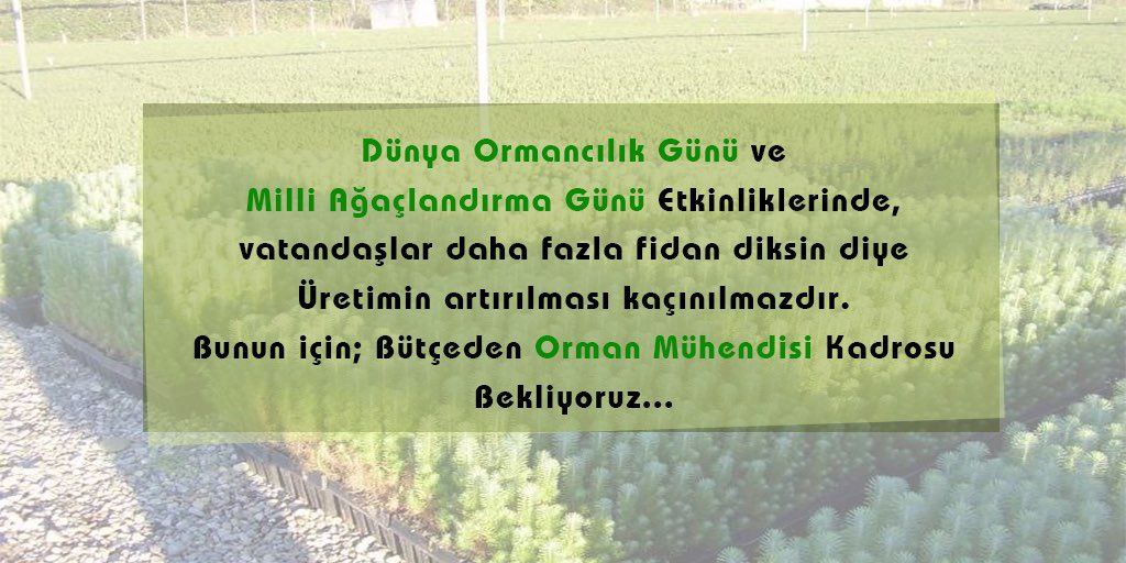 HsanBasar's tweet photo. Geleceğe nefes dünyaya nefes
Orman mühendisi alınmalı
@HTurkyilmazOMO 
@ogm
@TCTarim 
@BekirKARACABEY_ https://t.co/RYksLqB3Rv