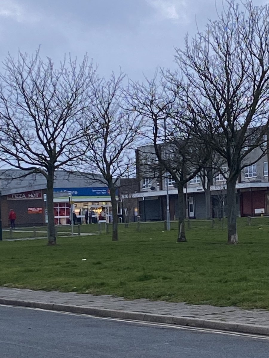 HumberbeatNEL's tweet photo. #GrimsbyWest #Freshney Conducting patrols around Wingate Parade and the Willows Estate this evening, tackling any ASB in the area. #InYourCommunity https://t.co/JdBi4EsNLY