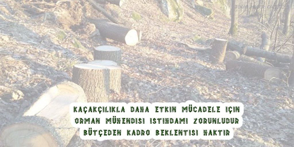 HsanBasar's tweet photo. Biyokaçakçılıkla mücadele edilebilmesi için orman mühendisi alınması yapılsın.
@HTurkyilmazOMO 
@BekirKARACABEY_ 
@IsmailUzmez42 https://t.co/AwqJIFHxlZ