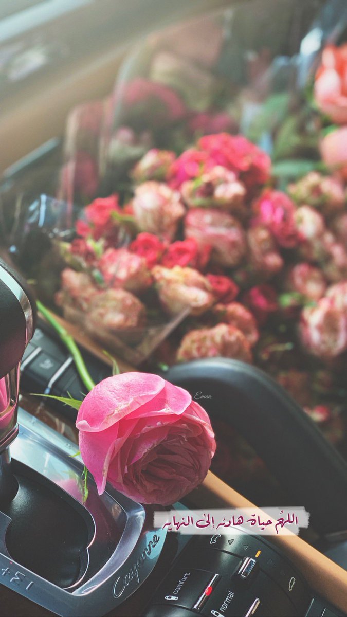 لا داعي لشرب ماء البحر كله حتى تكتشف أنه مالح