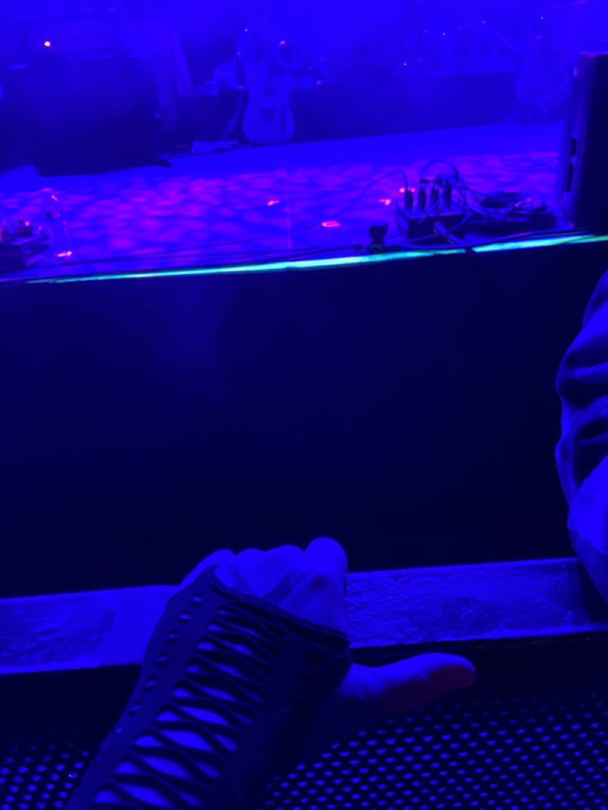 fakeyououtz's tweet photo. rt for good luck at ur next concert 🤩 https://t.co/KPBwWXQnaq