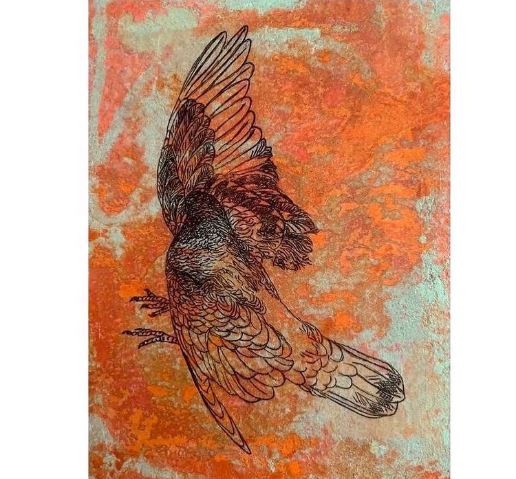 Bora Meraj tweet media