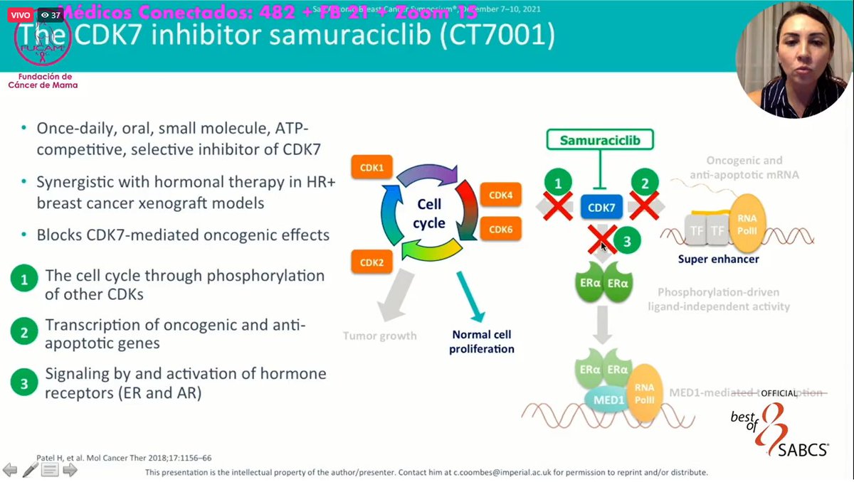 Dr_Ivanoncologo's tweet photo. "Study of #Samuraciclib a first-in-class, oral, selective inhibitor of #CDK7, in combination with fulvestrant in patients with advanced hormone receptor-positive, HER2-negative Breast Cancer" interesante revisión de la Dra. Denisse Lee #SABCS @FUCAMM @OncoAlert @BCTrials https://t.co/0W7zuC1Ufl