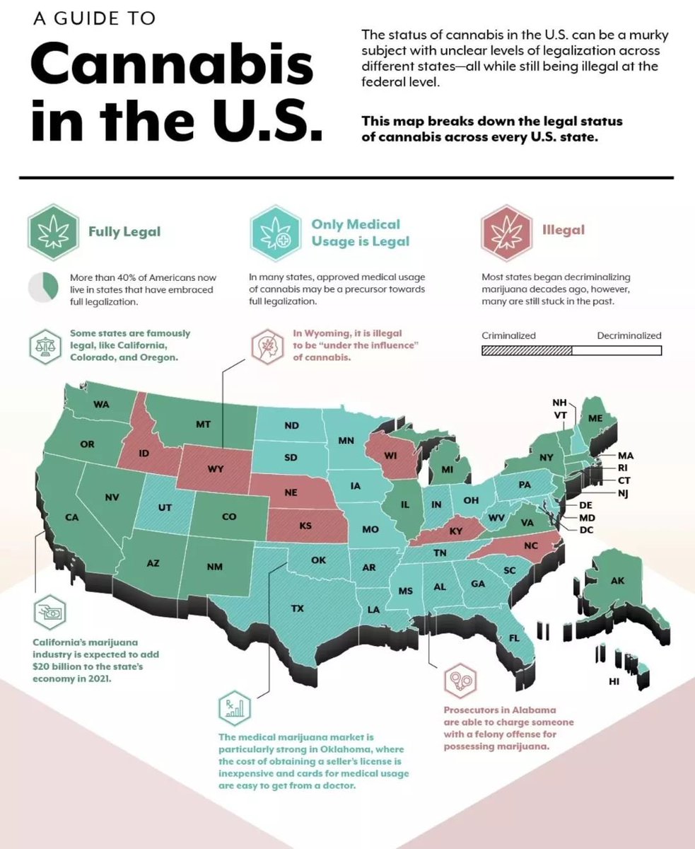 TYPflower's tweet image. It is our belief that in the near future the entire map will be green and we will look back at these current times with disbelief at how long it actually took for there to be national legalization.

#PlantOverPills

#FirstResponderFlower