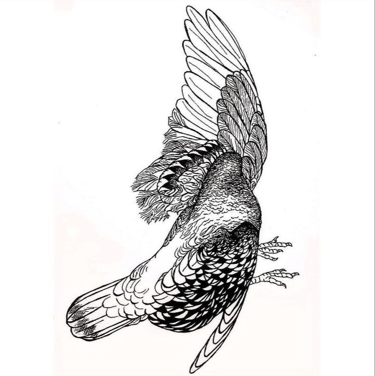 Bora Meraj tweet media