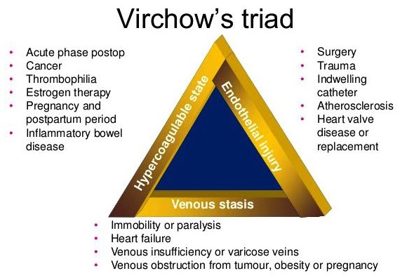 USMLEStepStudy's tweet photo. Virchow's triad = 3  factors that may predispose a person to the development of venous thrombosis:
•Hypercoagulability
•Stasis
•Endothelial injury https://t.co/xNxTmQvQYd
