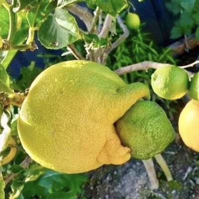 #NewProfilePic