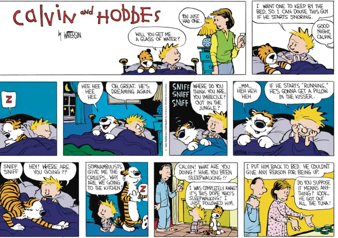 Calvinn_Hobbes's tweet image. 🤣🤣 #CalvinandHobbes