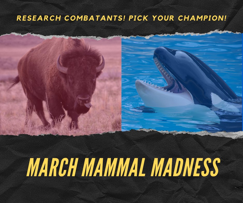 WI_NatureNet's tweet photo. It's bracket season...the March Mammal Madness bracket that is! Prepare your bracket at https://t.co/izndalLAzX and let the battles begin!

#2022MMM #MarchMammalMadness #NatureNet https://t.co/LRcBPh4CpO