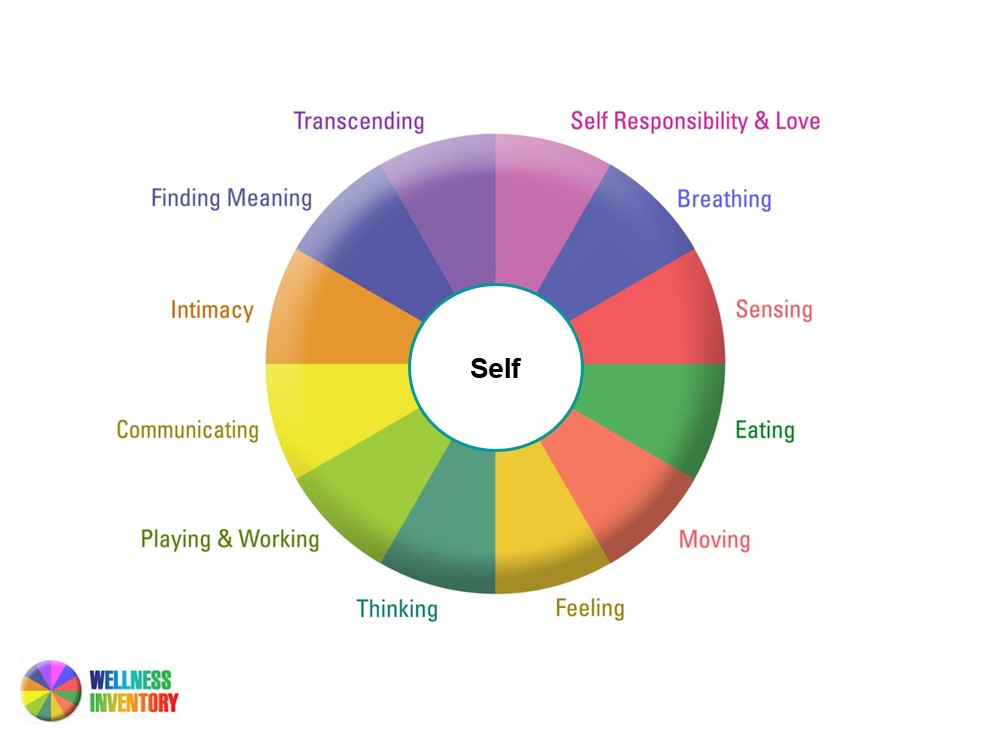 CertifyWellness's tweet image. Do you want to become a wellness coach and become eligible to sit for the National Certification exam? 

Join us March 9 at 7:00 ET (4 PT) for our webinar, Becoming a Wellness Coach: Coaching with an Integral, Whole Person Model. -  conta.cc/3vHBkmw=