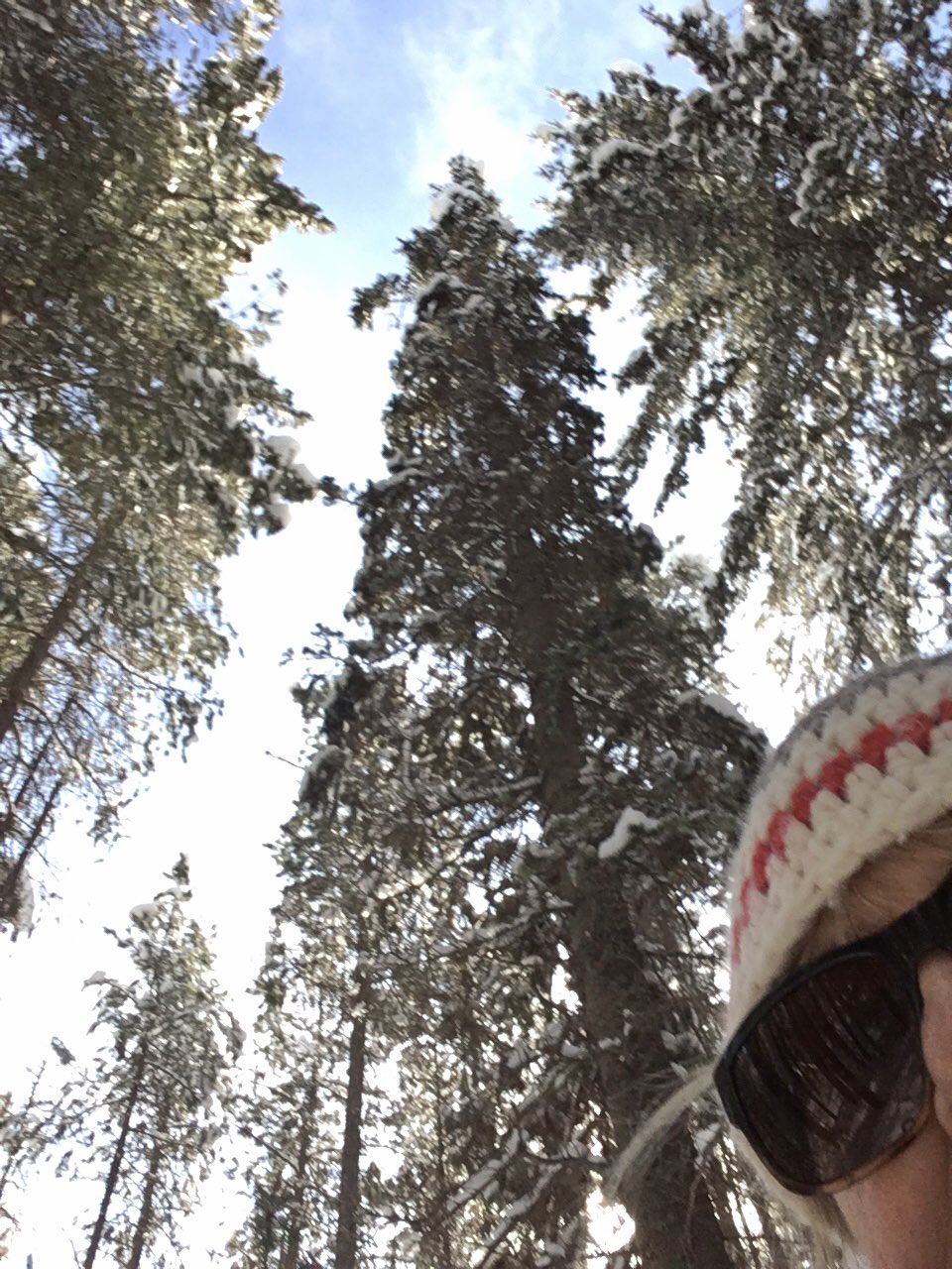 Joni MacFarlane on Twitter "Bluebird skies & no wind make for a great