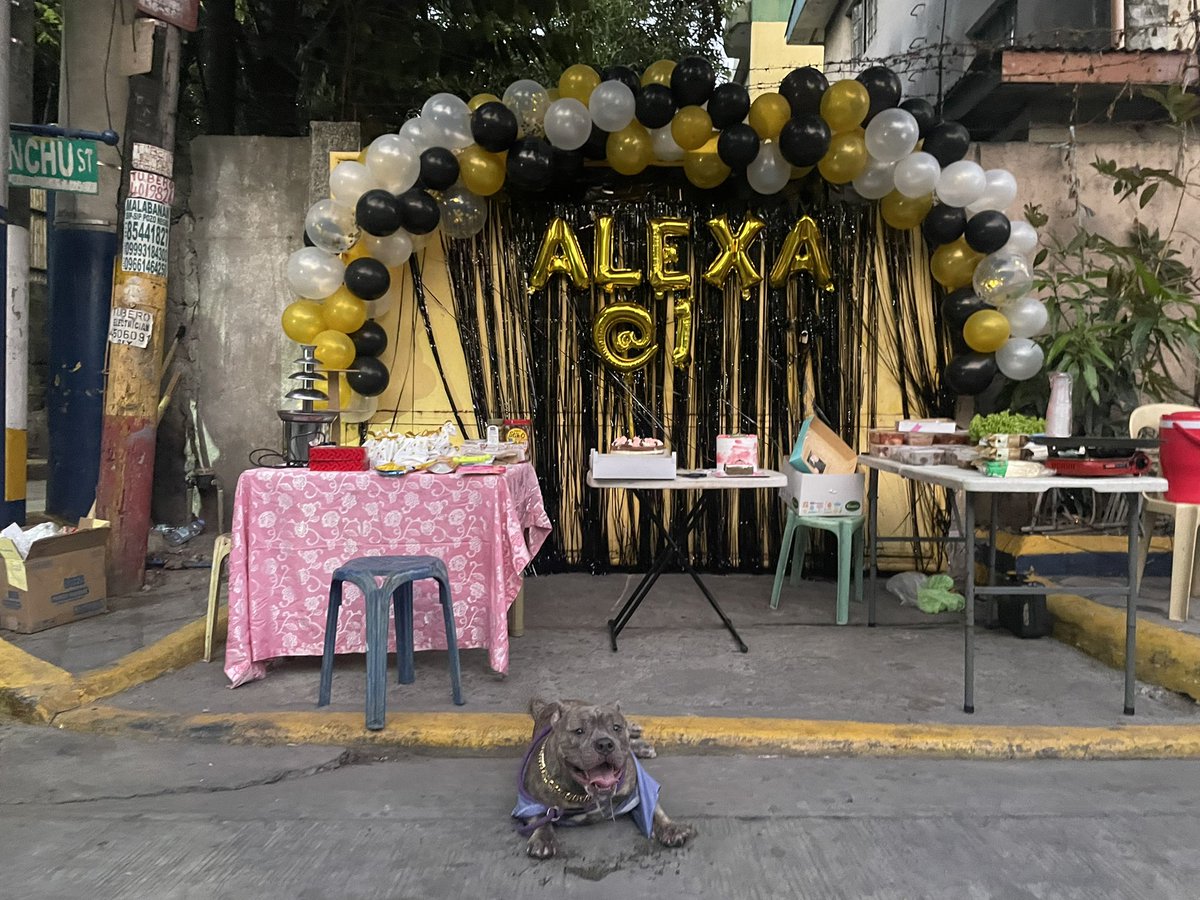 imangelroxas's tweet photo. Alexa turn 1 yesterday and i was so stress and tiered yesterday since i had work but we made it!!! Thank you everyone who helped an made sure alexa had a goodtime ❤️ https://t.co/GsN4QNeQve
